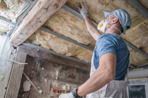 Best Insulation for Specific Applications in Warren Park, IN