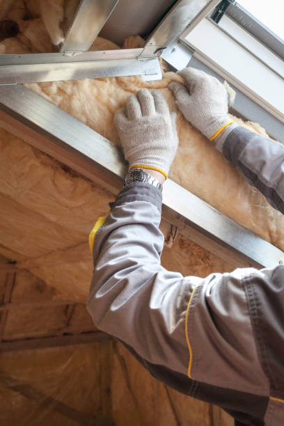 Best Specialized Insulation Services in Warren Park, IN