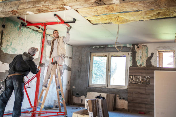 Best DIY Insulation Kits and Guidance in Warren Park, IN