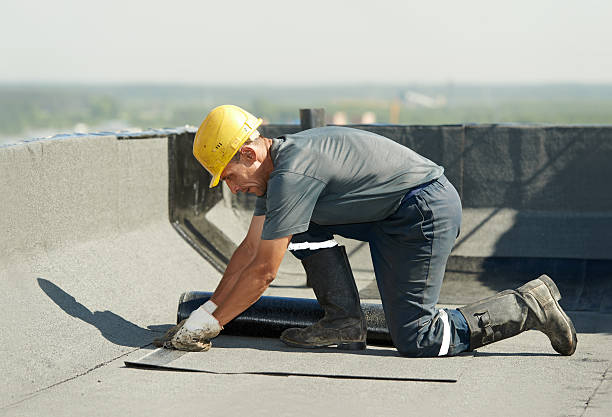 Best Eco-Friendly Insulation in Warren Park, IN