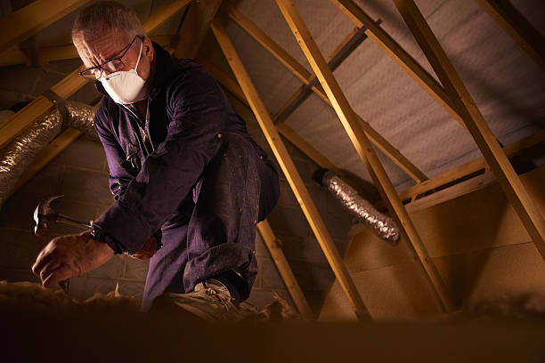 Best Insulation for Specific Applications in Warren Park, IN