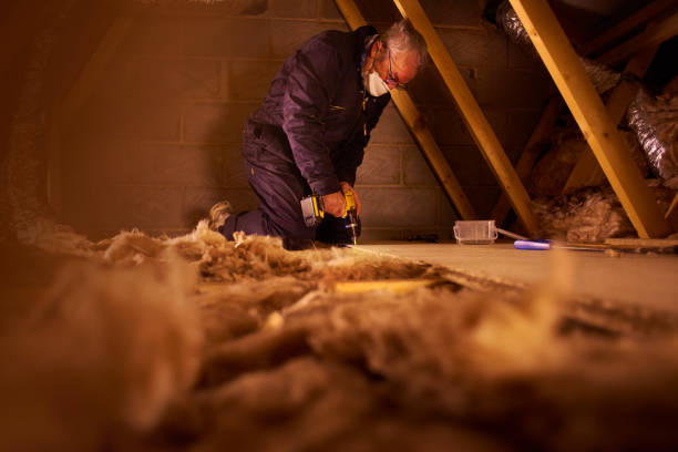 Best Cellulose Insulation in Warren Park, IN